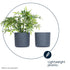 22cm Round Sandstone Plastic Plant Pot Grey - Set of 2